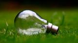 Glühlampe Wiese.jpg